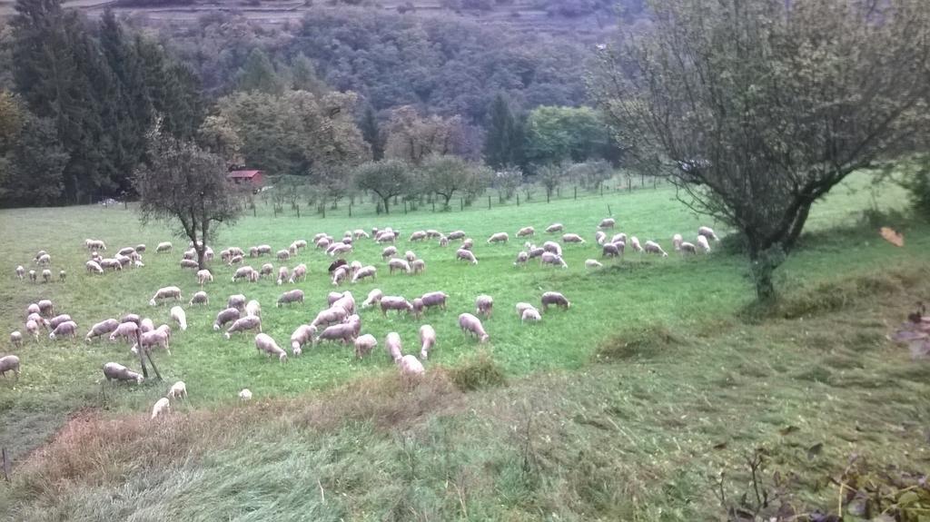 Antica Casa Ortensia Riva del Garda Oda fotoğraf