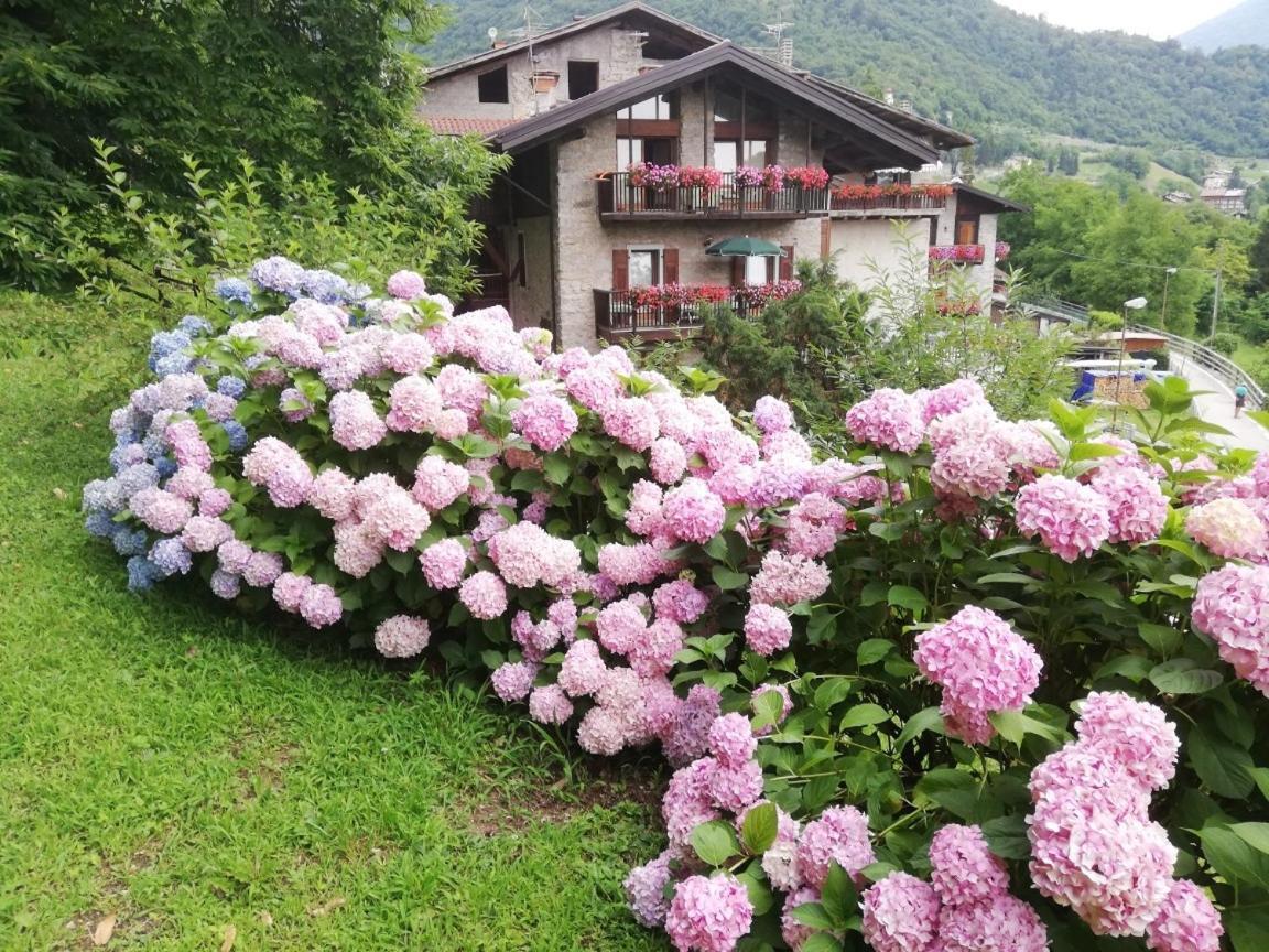 Antica Casa Ortensia Riva del Garda Dış mekan fotoğraf